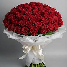Букет 101 Красная роза Блэк Мэджик #REPLACE_PRED# Толстово-Васюковском