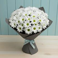Букет цветов из:  Хризантемы #REPLACE_PRED# Толстово-Васюковском