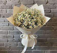 Букет цветов из:  Ромашки в Толстово-Васюковском