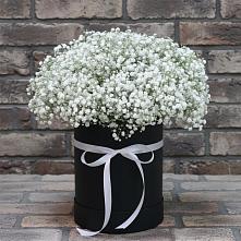 Цветочная композиция из Гипсофила в шляпной коробке в Толстово-Васюковском