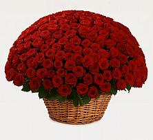 Премиум букет из: Розы #REPLACE_PRED# Толстово-Васюковском