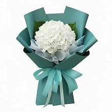 Букет цветов из:  Гортензия #REPLACE_PRED# Толстово-Васюковском